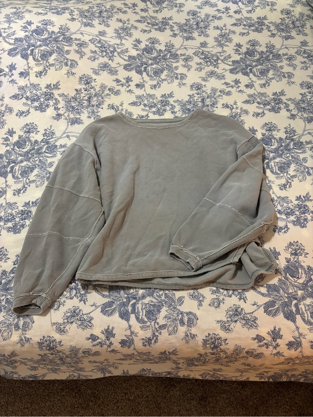 Free People sweatshirt